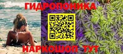 стафф Донской