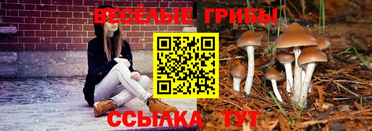 Псилоцибиновые грибы Magic Shrooms Нерюнгри