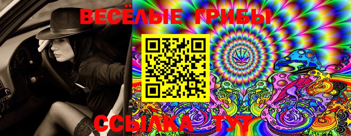 Нерюнгри  Галлюциногенные грибы MAGIC MUSHROOMS  продажа наркотиков  Вход с VPN 